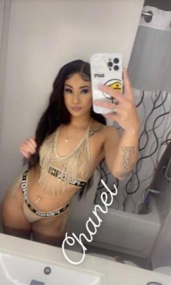 5596489036, female escort, Visalia